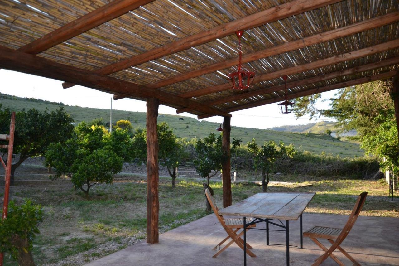Villa La Cucullera Catanzaro Esterno foto