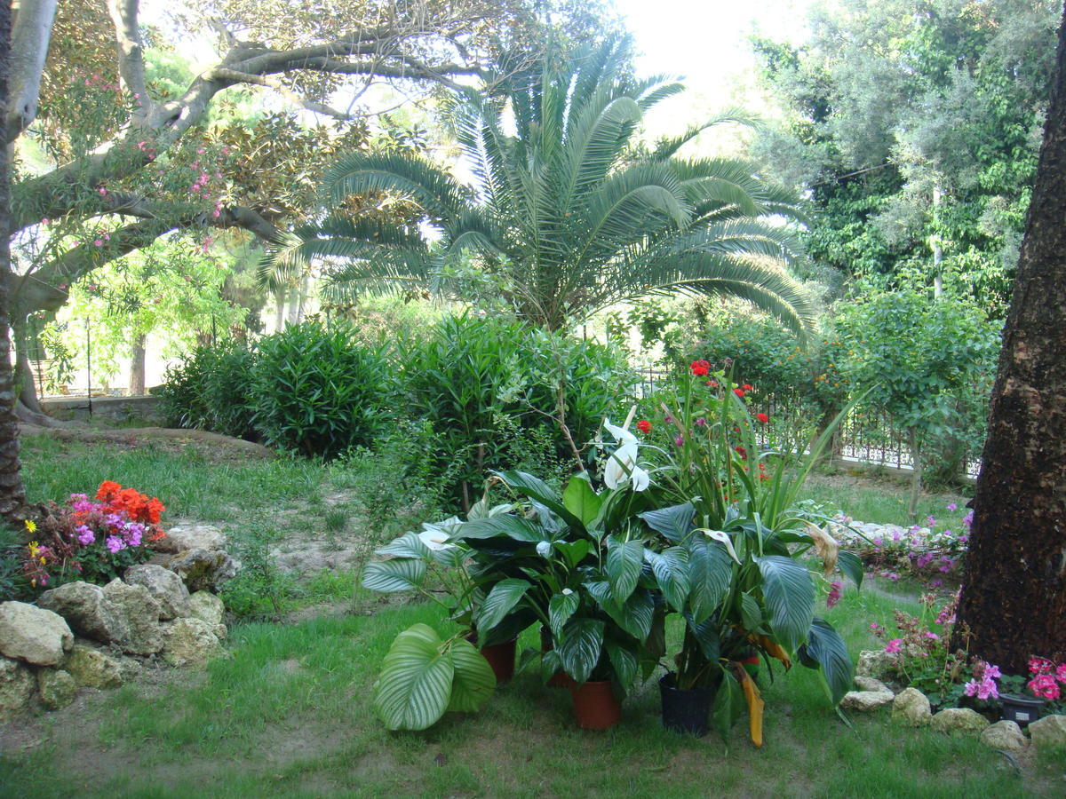 Villa La Cucullera Catanzaro Esterno foto
